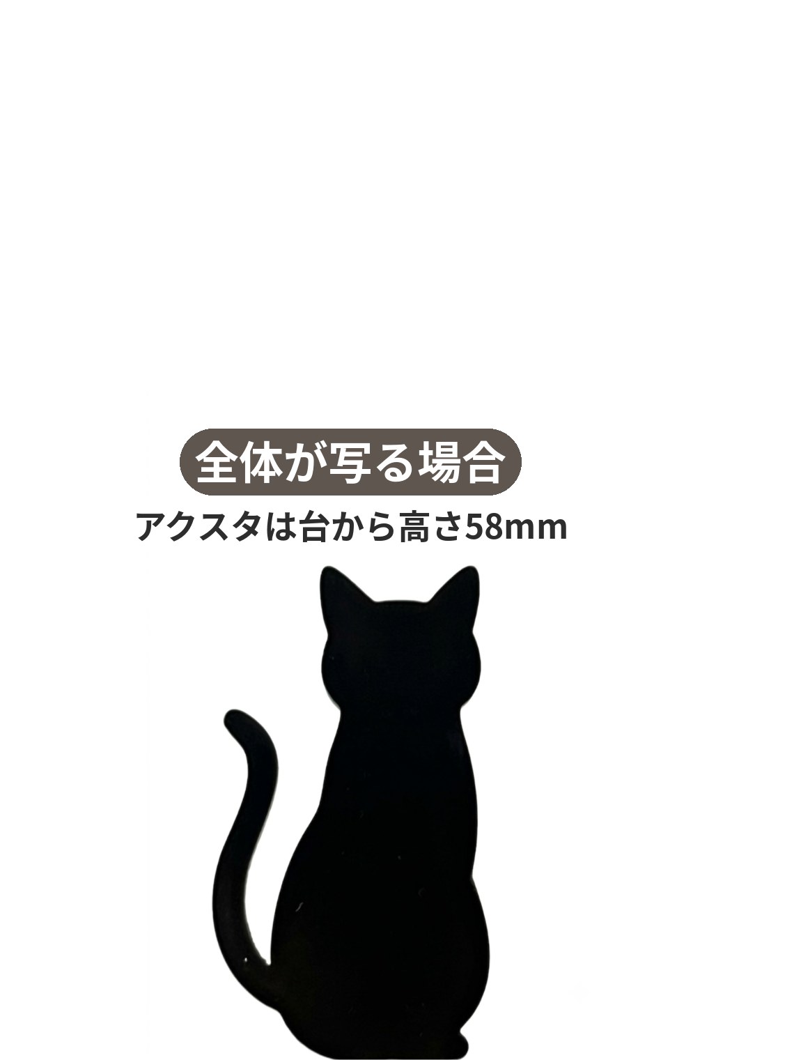 iPhone 17 Pro Maxのカメラ画面に写った状態。黒猫のアクスタ全体が足元まで画面に収まっている。